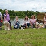 Lesehund_Schöllhammer