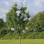 781f0775-6a0a-4b08-8c1c-4f0784be57f2