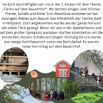 Flyer Höhenhof